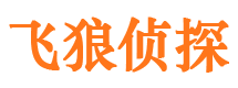 张家川市私家侦探